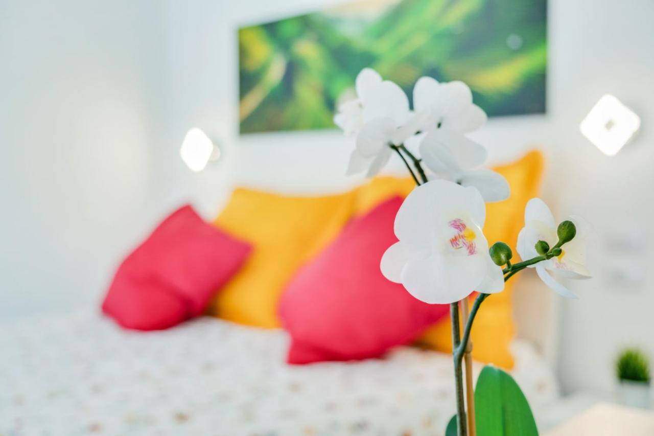 Estudio Tajinaste Arona  Buitenkant foto